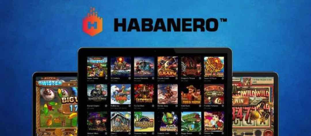 Những thông tin chi tiết về thương hiệu Habanero